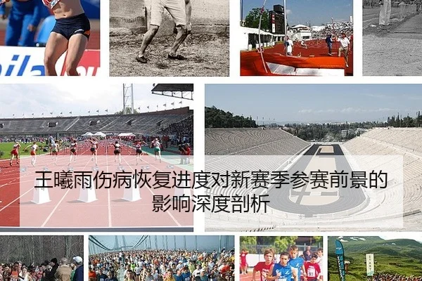 王曦雨伤病恢复进度对新赛季参赛前景的影响深度剖析
