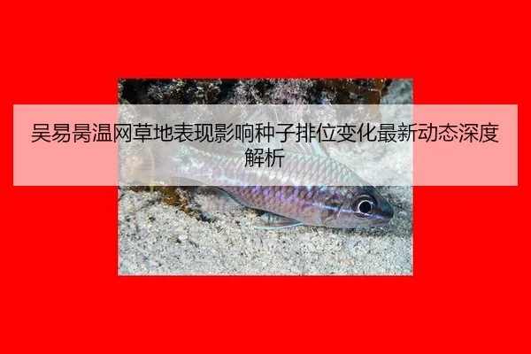 wu-yi-bing-wen-wang-cao-di-biao-xian-ying-xiang-zhong-zi-pai-wei-bian-hua-zui-xin-dong-tai-shen-du-jie-xi-2-925.jpg